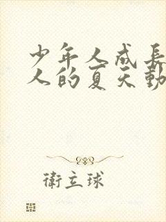 少年人成长为大人的夏天动漫封面