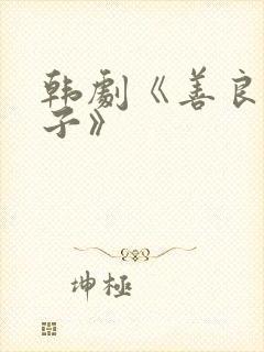 韩剧《善良的妻子》