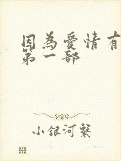 因为爱情有多美第一部