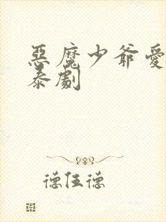 恶魔少爷爱上我泰剧