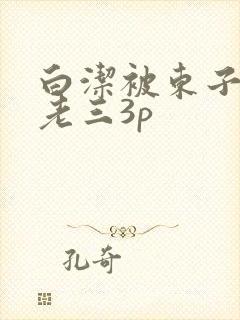 白洁被东子老二老三3p