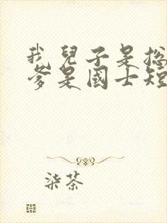 我儿子是总裁我爹是国士短剧