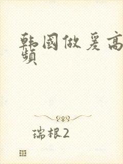 韩国做爰高潮视频封面