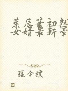 叶辰萧初然上门女婿最新章节封面