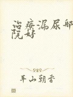 治疗漏尿哪里医院好