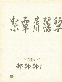 对面房间的人妻小早川怜子封面