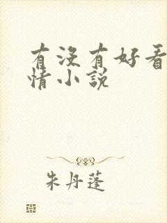 有没有好看的言情小说