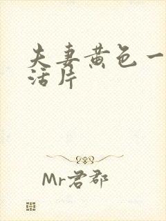 夫妻黄色一级生活片