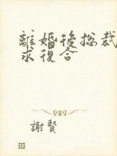 离婚后总裁日日求复合