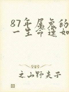 87年属兔的人一生命运如何封面