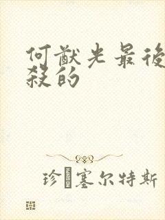 何猷光最后被谁杀的