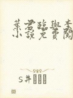 叶君临与李子柒小说免费阅读封面