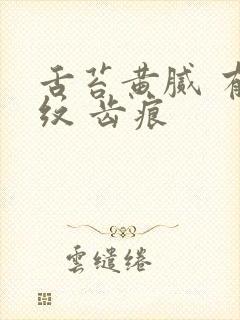 舌苔黄腻 有裂纹 齿痕