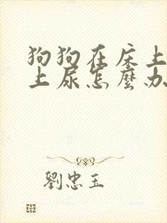 狗狗在床上沙发上尿怎么办