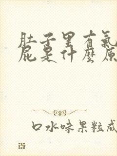 肚子里有气老放屁是什么原因封面