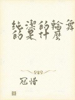 纯洁的轮舞曲讲的是什么