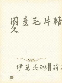 国产毛片精品久久