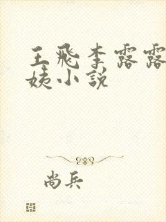 王飞李露露沈阿姨小说封面