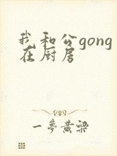 我和公gong在厨房