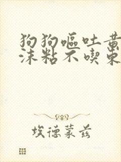 狗狗呕吐黄水泡沫粘不吃东西