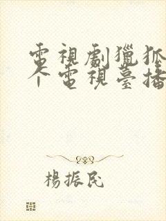 电视剧猎狐在哪个电视台播放封面