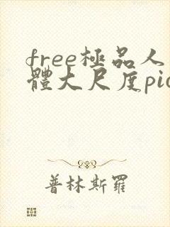 free极品人体大尺度pics