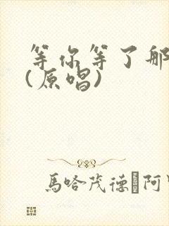 等你等了那么久(原唱)封面