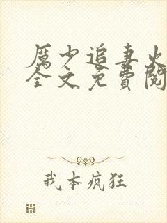 厉少追妻火葬场全文免费阅读封面