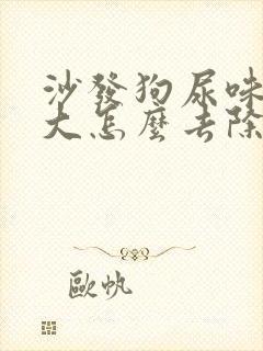 沙发狗尿味道很大怎么去除