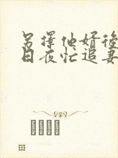 另择他婿后首辅日夜忙追妻苏屹耿全本阅读