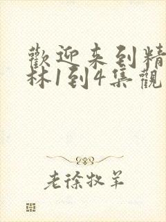 欢迎来到精灵森林1到4集观看