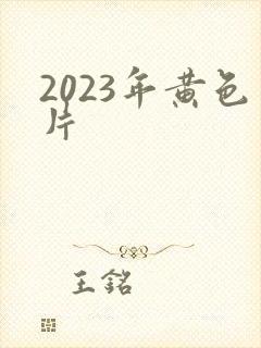 2023年黄色片
