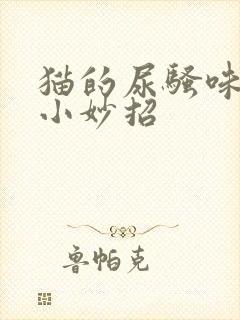 猫的尿骚味去除小妙招