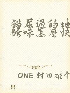 猫尿过的地方尿骚味怎么快速去除封面