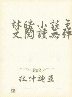 林皓小说免费全文阅读无弹窗封面
