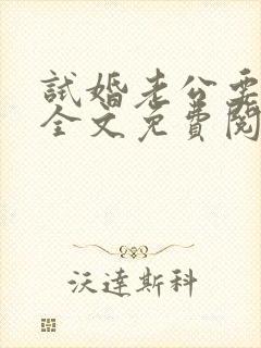 试婚老公要给力全文免费阅读封面