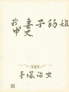 我妻子的姐姐二中文封面