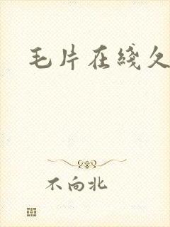 毛片在线久久久