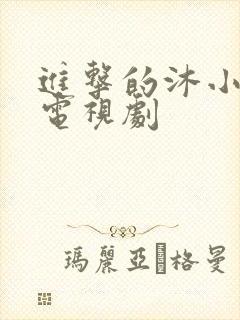 进击的沐小姐 电视剧封面