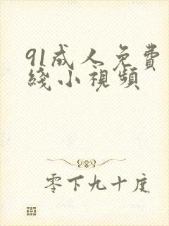 91成人免费在线小视频封面