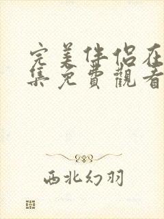 完美伴侣在线全集免费观看电视剧