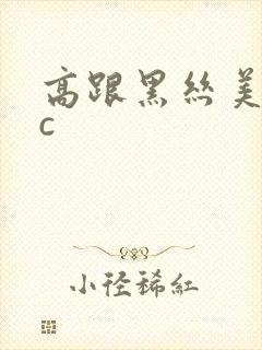 高跟黑丝美女被c封面