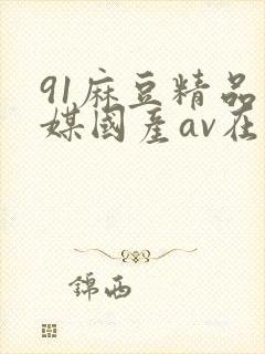 91麻豆精品传媒国产av在电影
