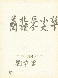 叶北辰小说免费阅读全文下载最新