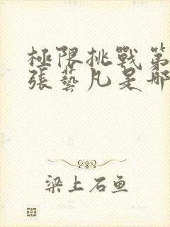 极限挑战第九季张艺凡是哪一期