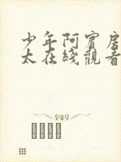 少年阿宾房东太太在线观看封面