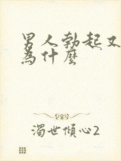 男人勃起又软了为什么封面