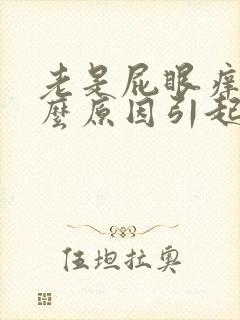 老是屁眼痒是什么原因引起的女性