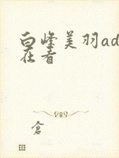 白峰美羽adn在看封面
