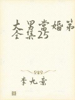 大男当婚第二部全集25